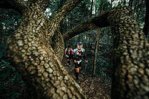 BIB: 
                            <button type="button" onclick="openModal(25393649)" class="btn btn-primary btn-sm float-right btn-popup" data-toggle="modal" data-target=".modal-high-quality">
                        <i class="fas fa-shopping-cart"></i> Add to Cart
                    </button>
                                            <button type="button" onclick="isThisMe(25393649, true)" class="btn btn-success btn-sm float-right btn-popup btn-isme hidden" data-toggle="tooltip" data-placement="bottom" title="นี่คือรูปของคุณใช่ไหม คลิกที่นี่เพื่อเอาเข้าอัลบั้ม">
                        <i class="fas fa-plus"></i> Add to album
                    </button>
                    <button type="button" onclick="isThisMe(25393649, false)" class="btn btn-warning btn-sm float-right btn-popup btn-isnotme hidden">
                        <i class="fas fa-ban"></i> Remove from album
                    </button>